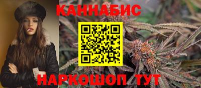 гашик Бийск