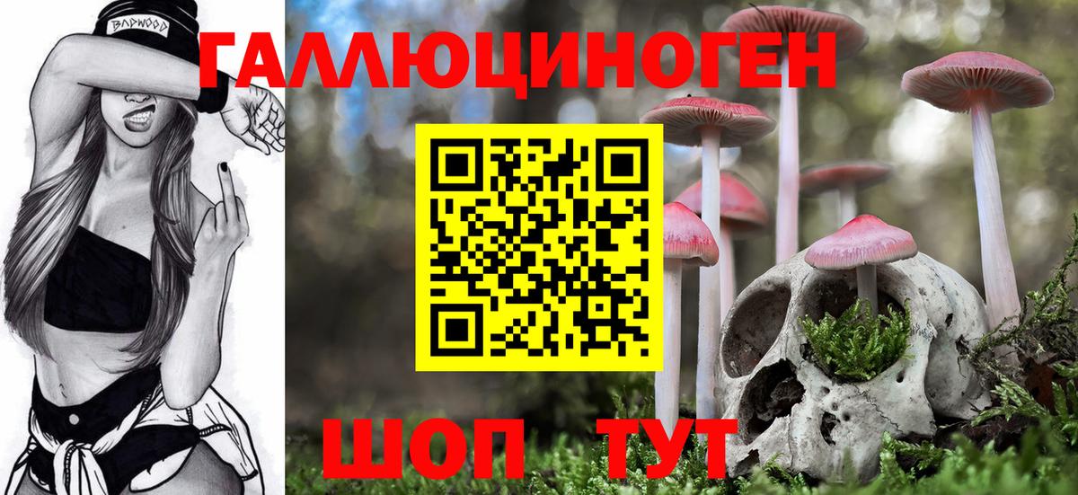 Будённовск  Галлюциногенные грибы мицелий  Вход с VPN 