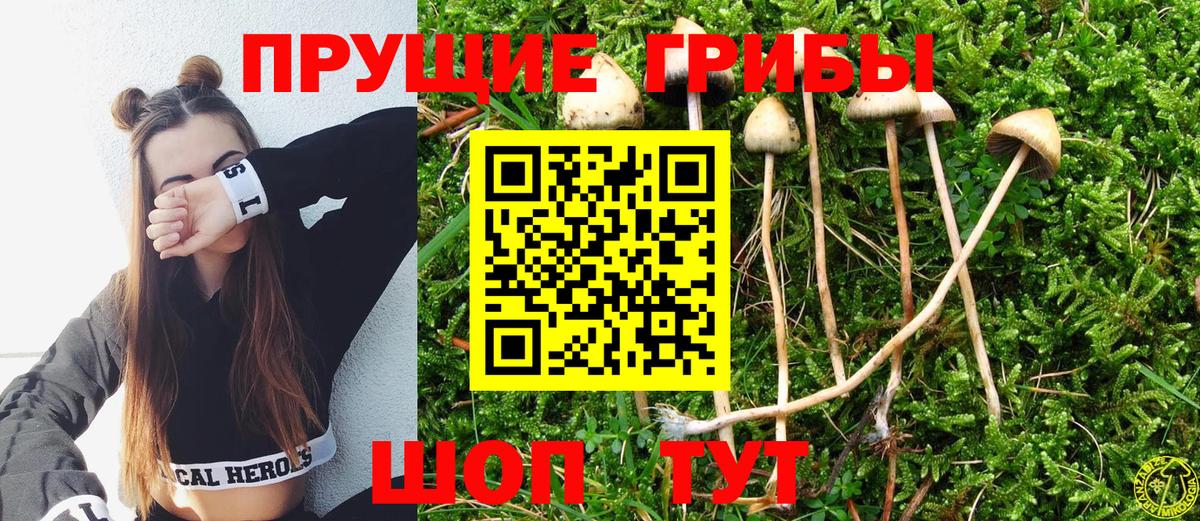 Галлюциногенные грибы прущие грибы Будённовск