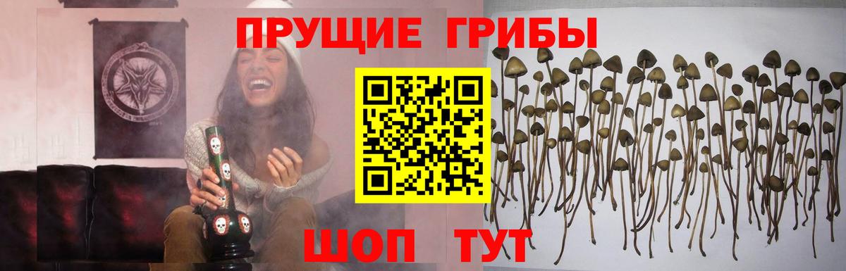 Галлюциногенные грибы мицелий Будённовск